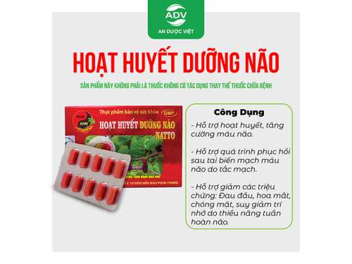 Hoạt Huyết Dưỡng Não Natto, hộp 2 vỉ x 10 viên (750mg) - An Dược Việt